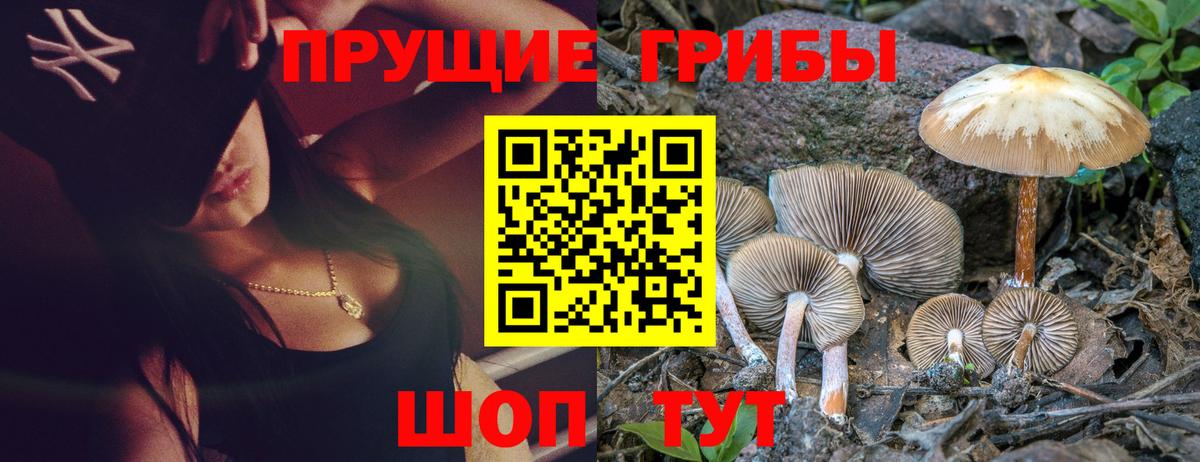 Ишимбай  Галлюциногенные грибы ЛСД  Галлюциногенные грибы Magic Shrooms  закладки  Вход с VPN 